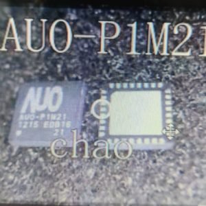 AUO P1M21 IC